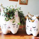 Dica da semana: Vaso com garrafa pet